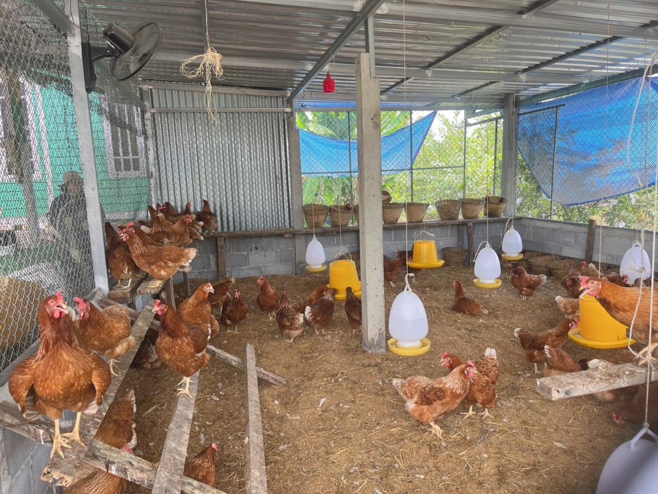 ภาพประกอบที่ 1