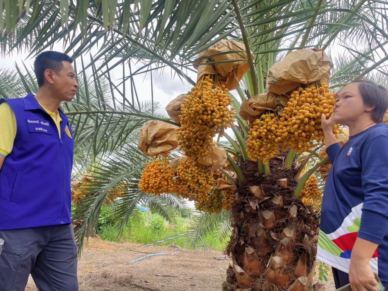ภาพประกอบที่ 2