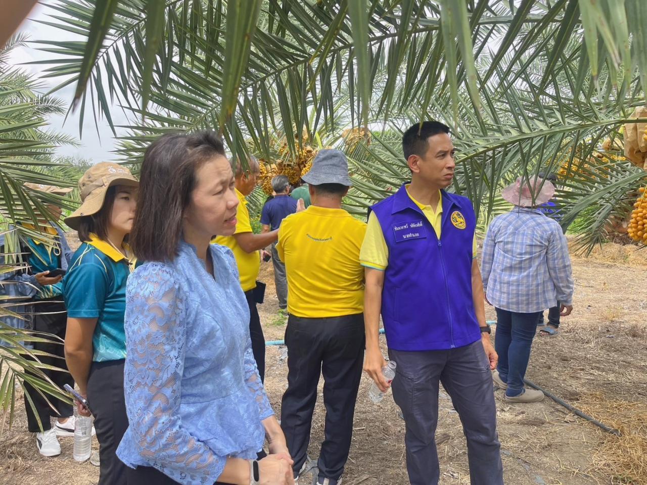 ภาพประกอบที่ 5