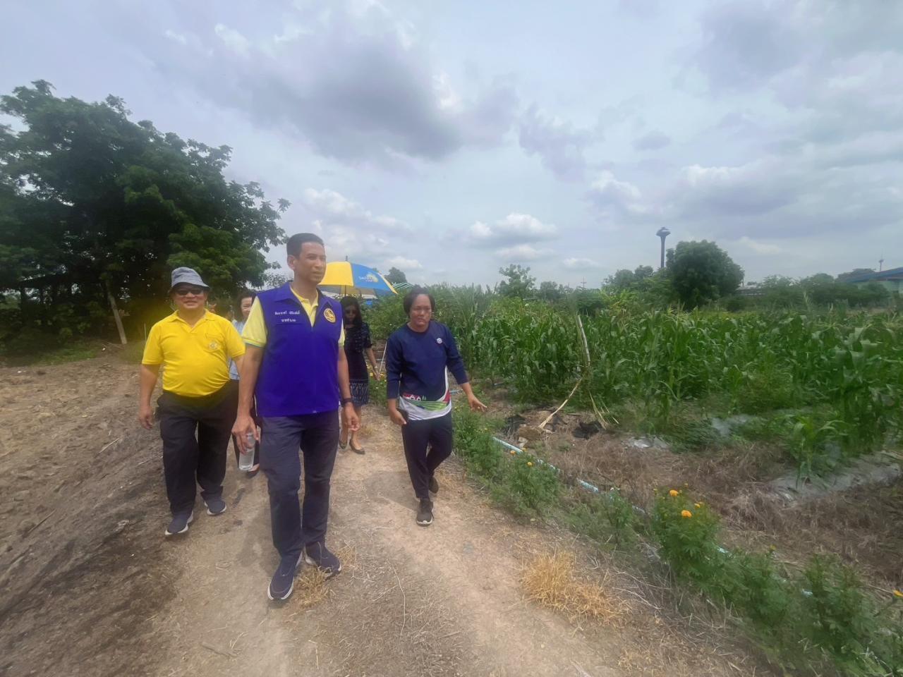 ภาพประกอบที่ 17