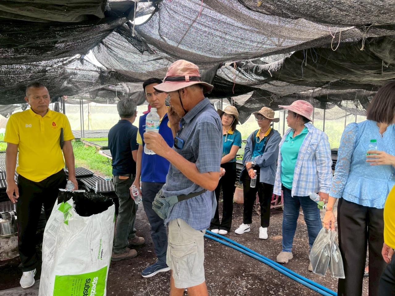 ภาพประกอบที่ 19