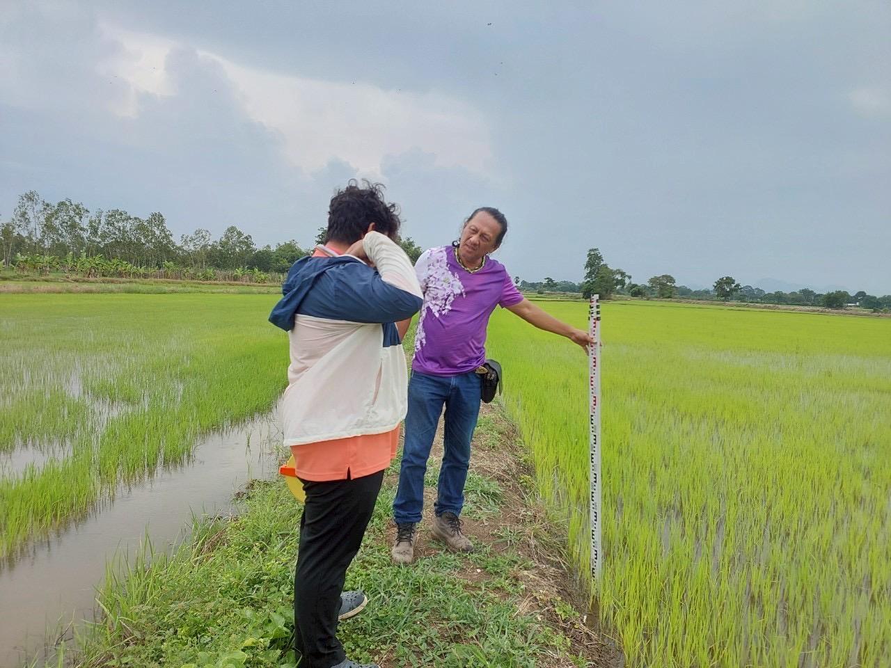 ภาพประกอบที่ 3