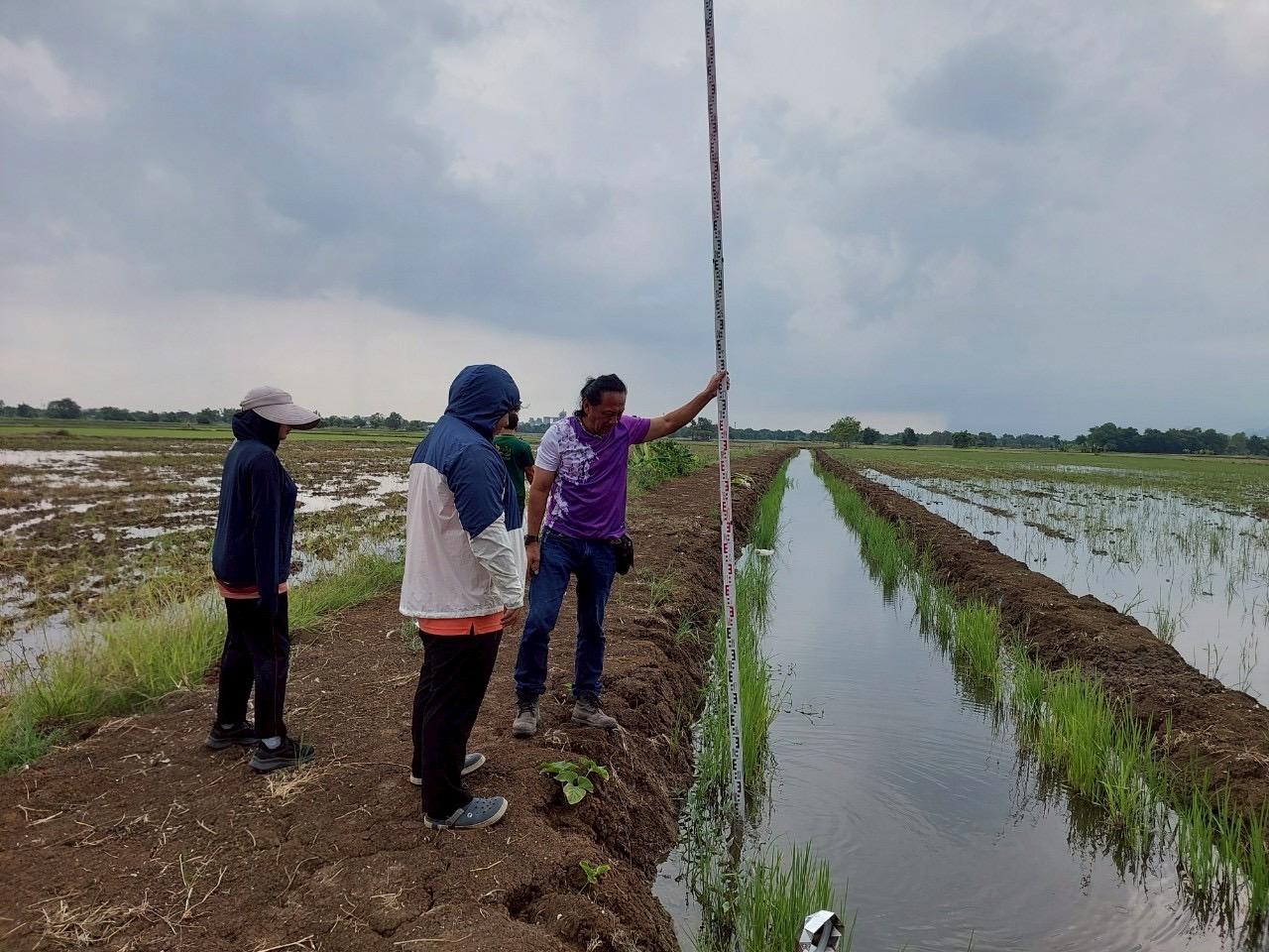 ภาพประกอบที่ 4