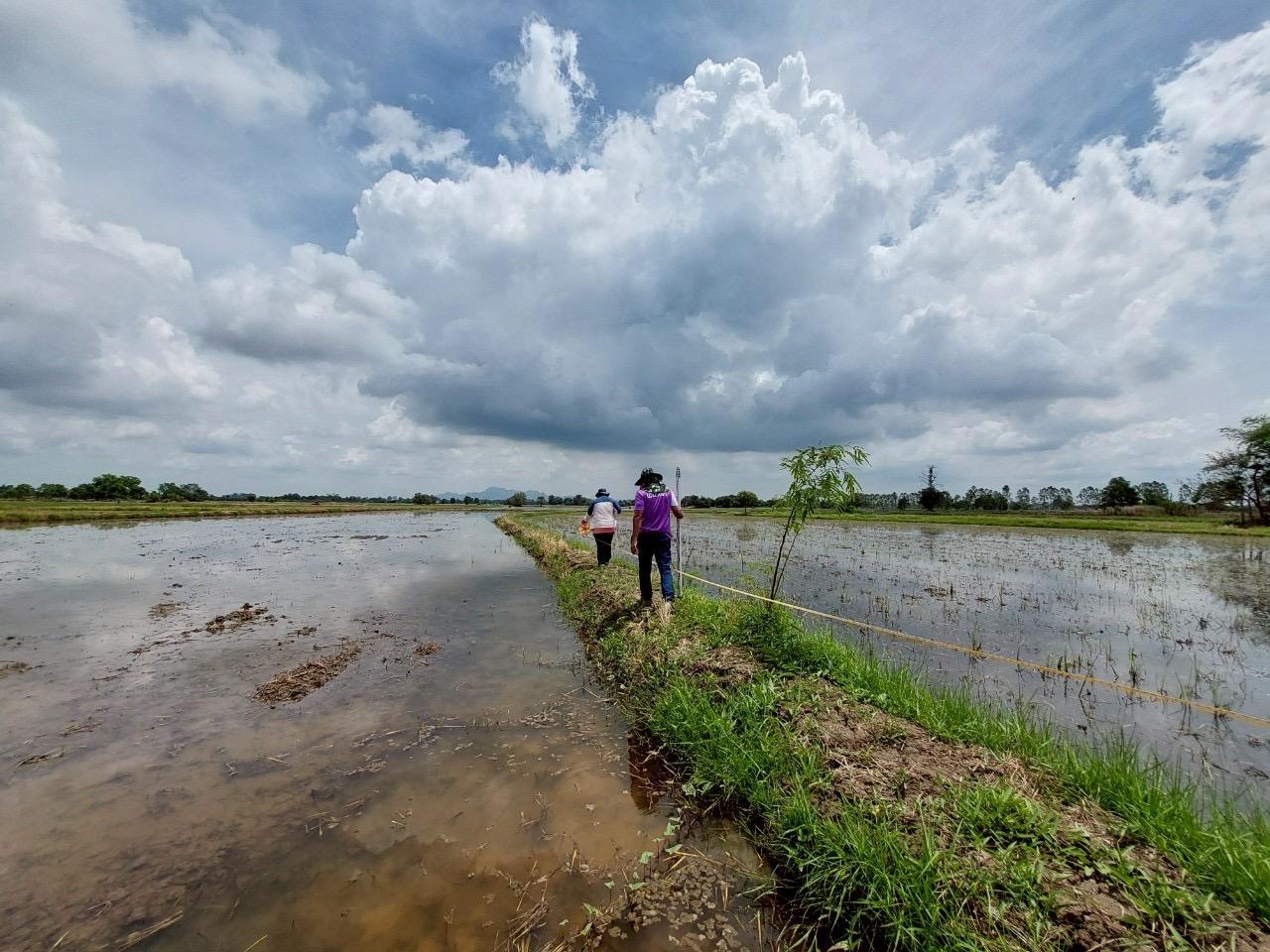 ภาพประกอบที่ 5