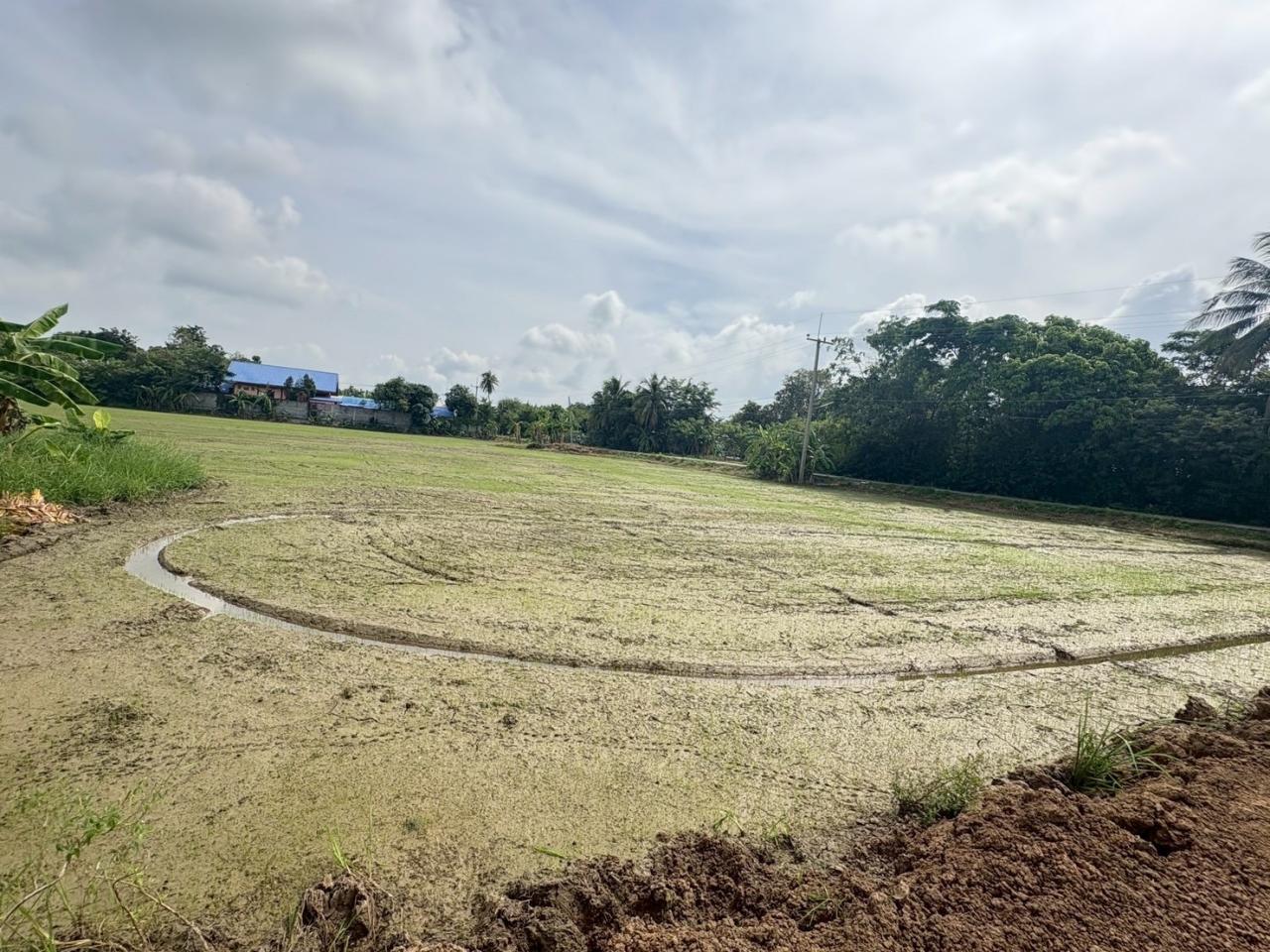 ภาพประกอบที่ 7