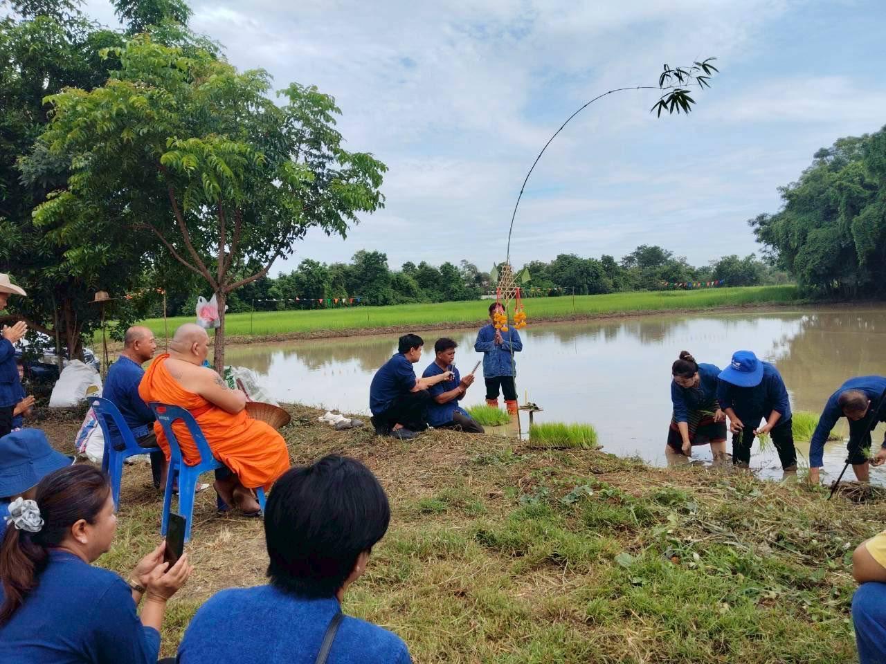 ภาพประกอบที่ 7