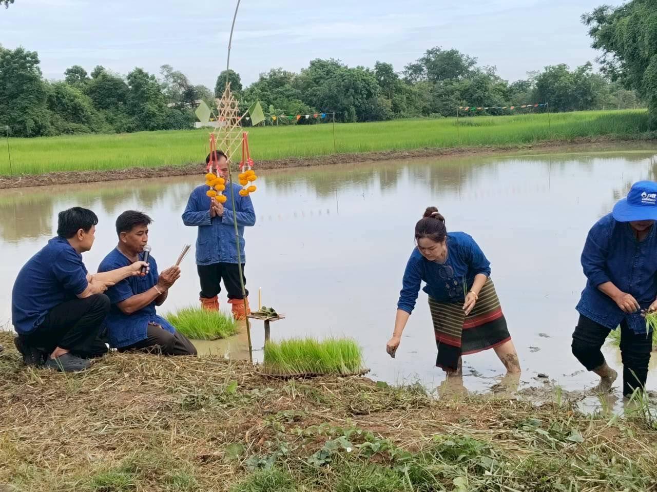 ภาพประกอบที่ 6