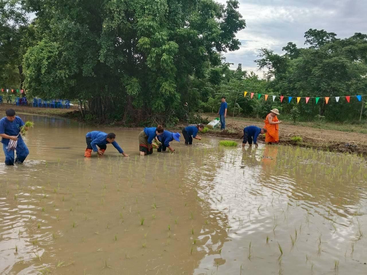 ภาพประกอบที่ 5