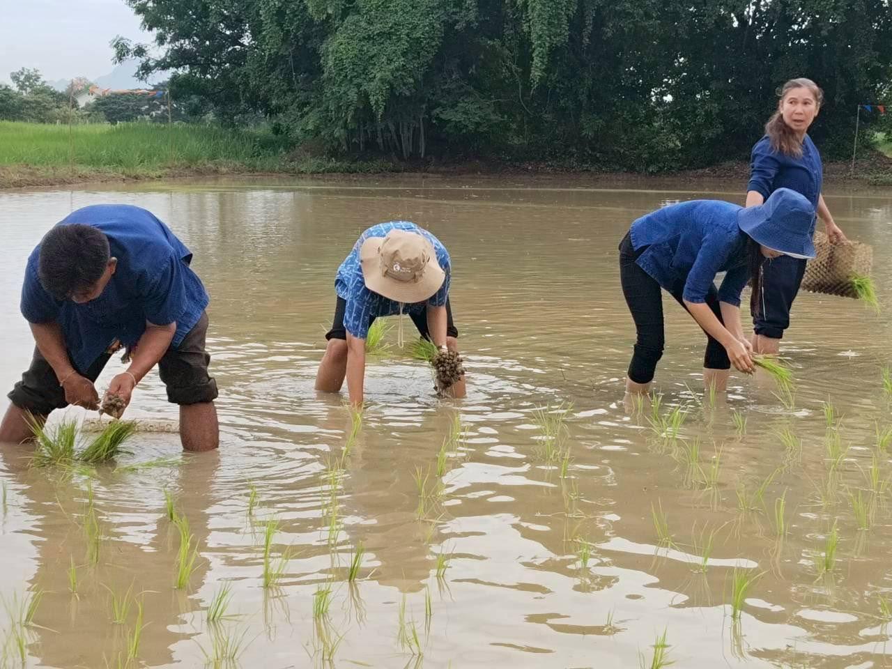 ภาพประกอบที่ 4