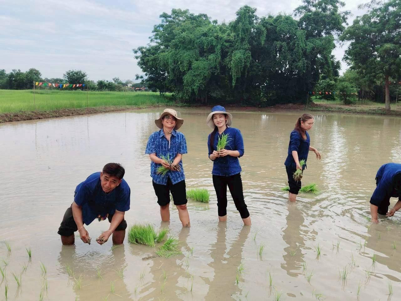 ภาพประกอบที่ 3