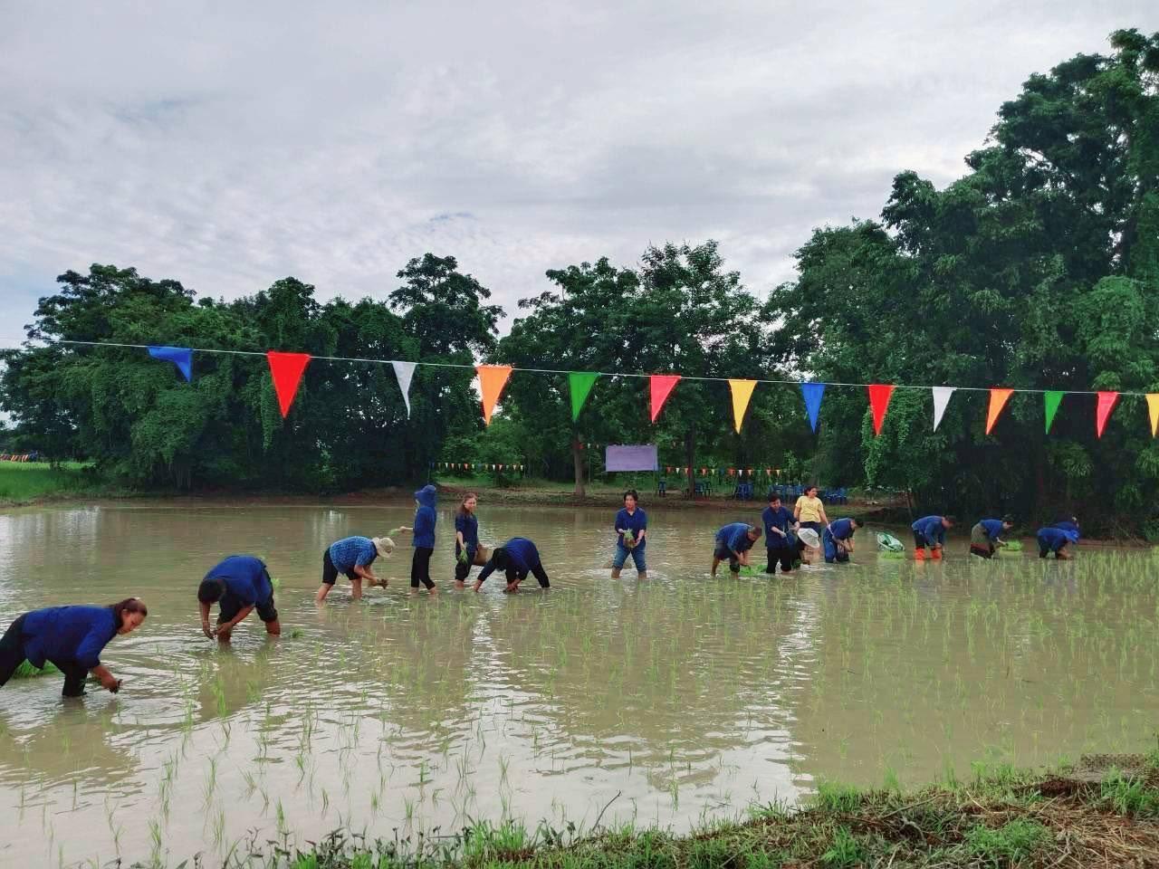 ภาพประกอบที่ 2