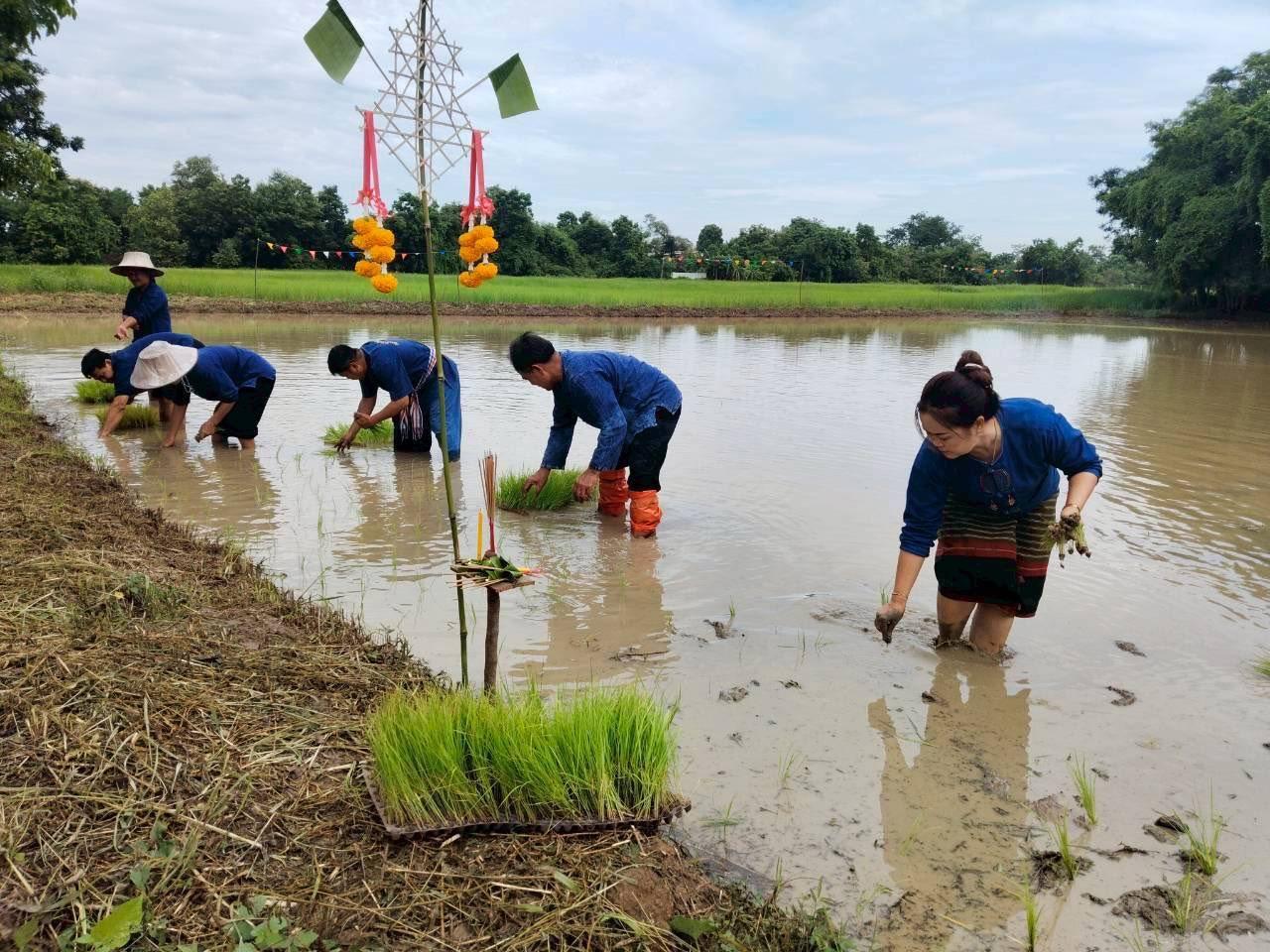 ภาพประกอบที่ 1