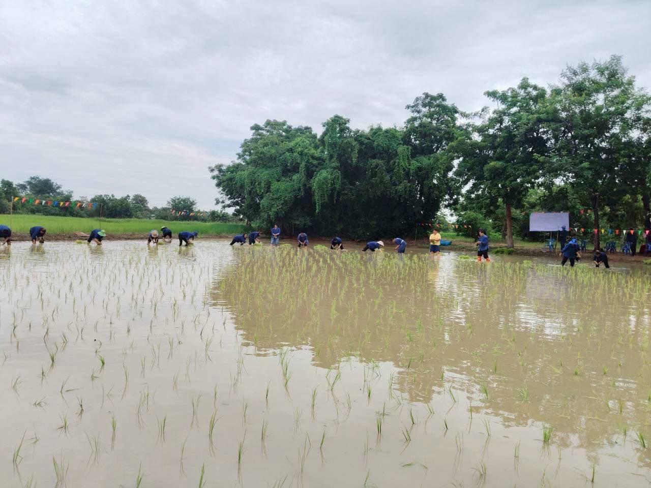 ภาพประกอบที่ 0