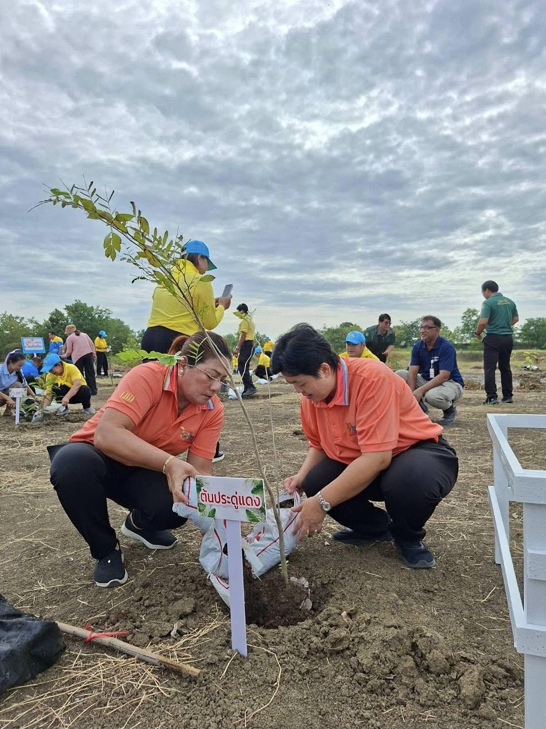 ภาพประกอบที่ 6