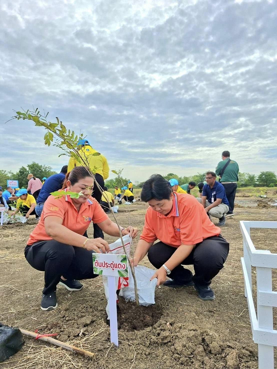 ภาพประกอบที่ 5