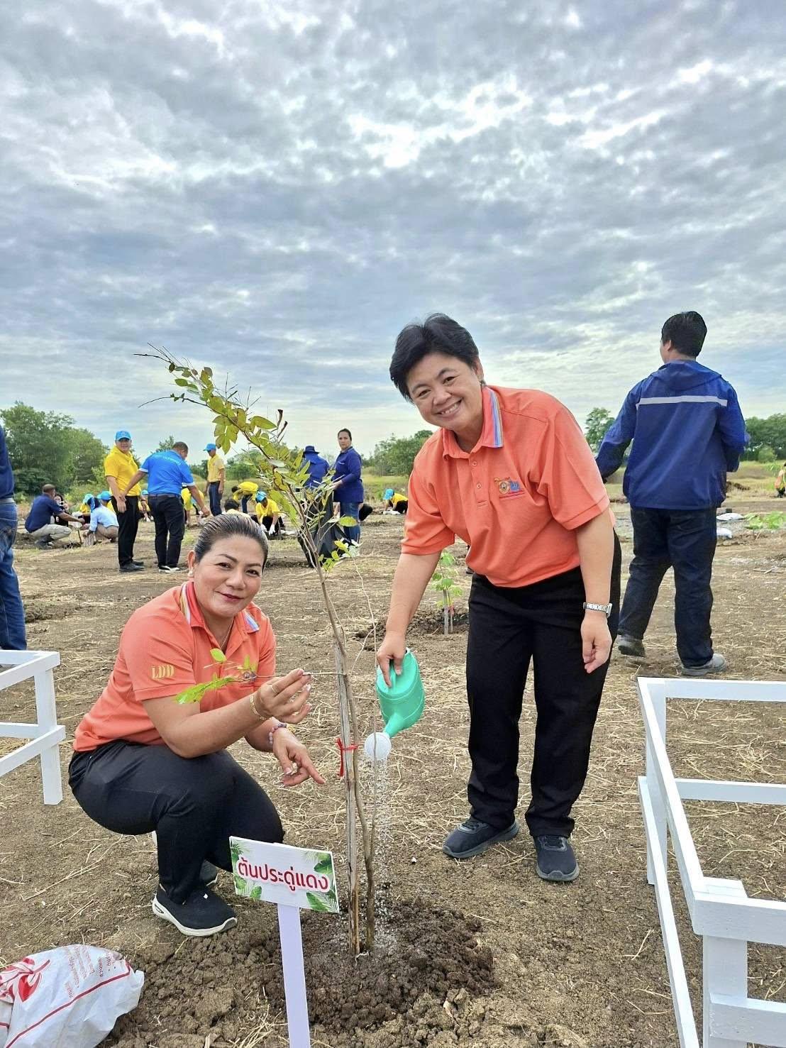 ภาพประกอบที่ 4