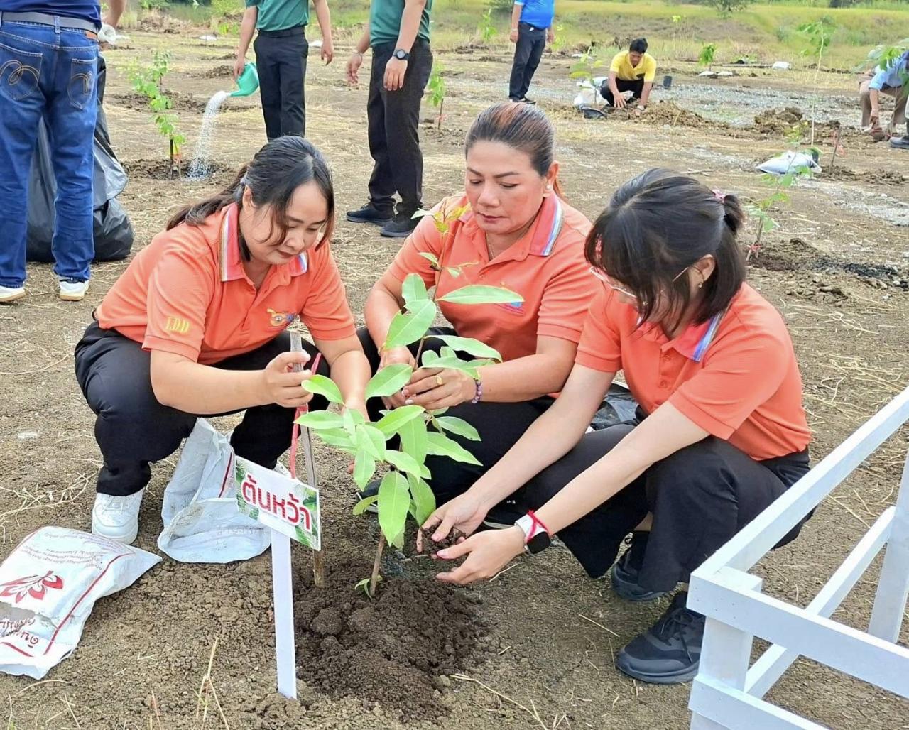 ภาพประกอบที่ 3