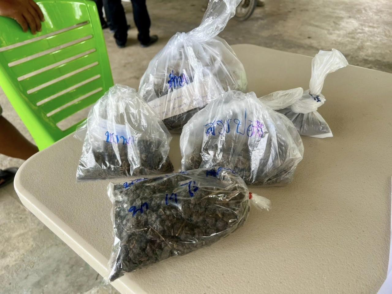 ภาพประกอบที่ 1