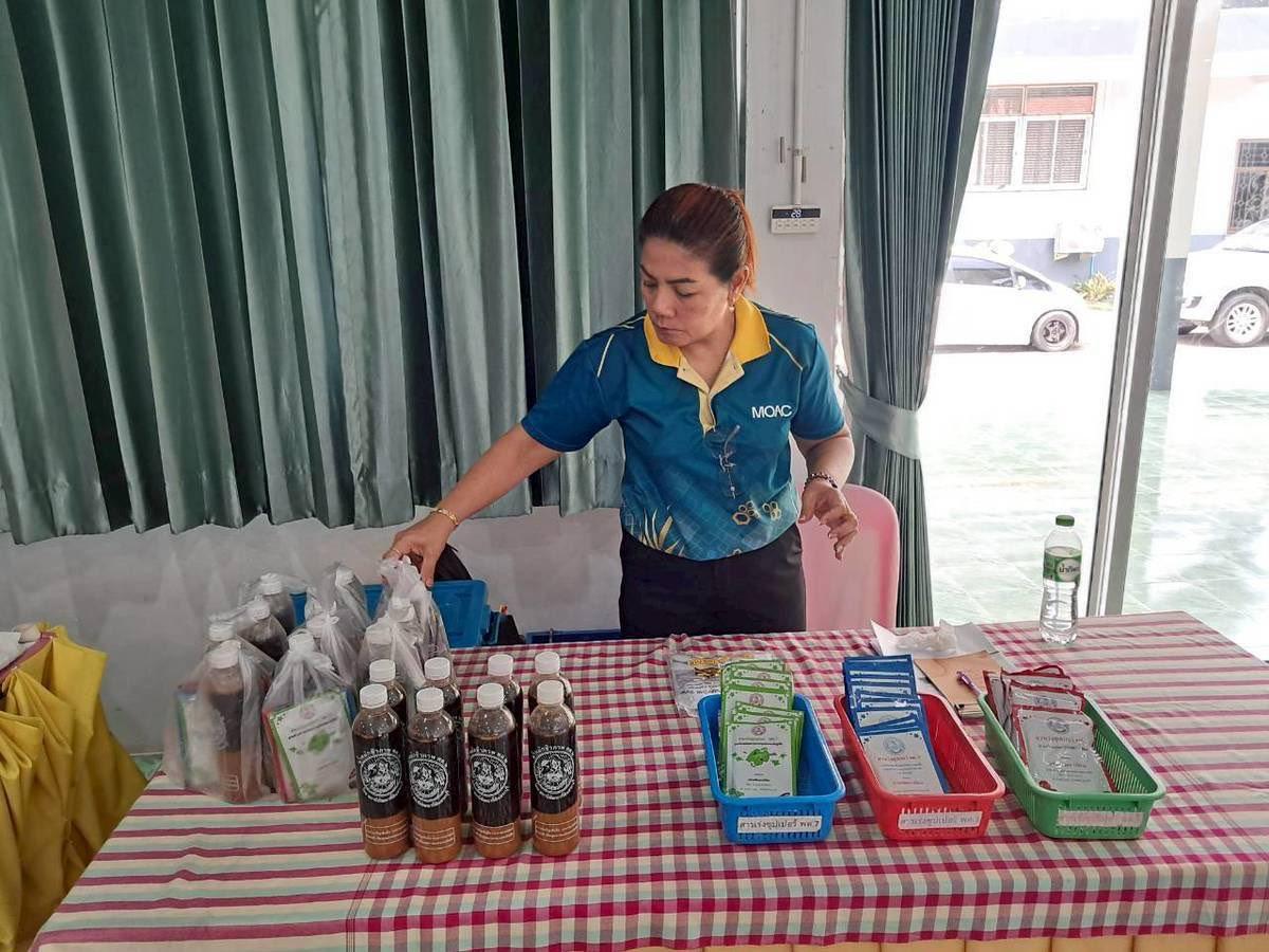 ภาพประกอบที่ 0