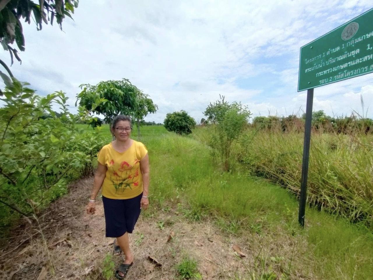 ภาพประกอบที่ 5