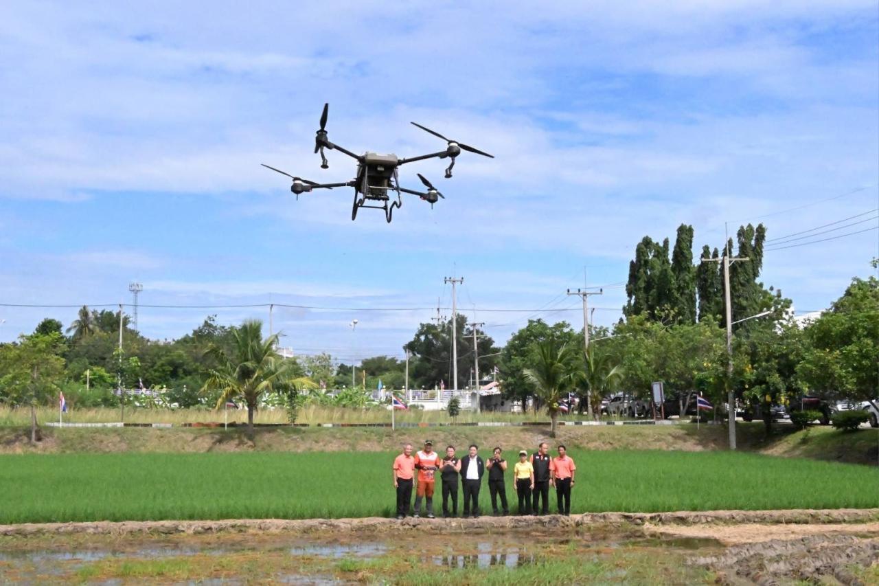 ภาพประกอบที่ 5