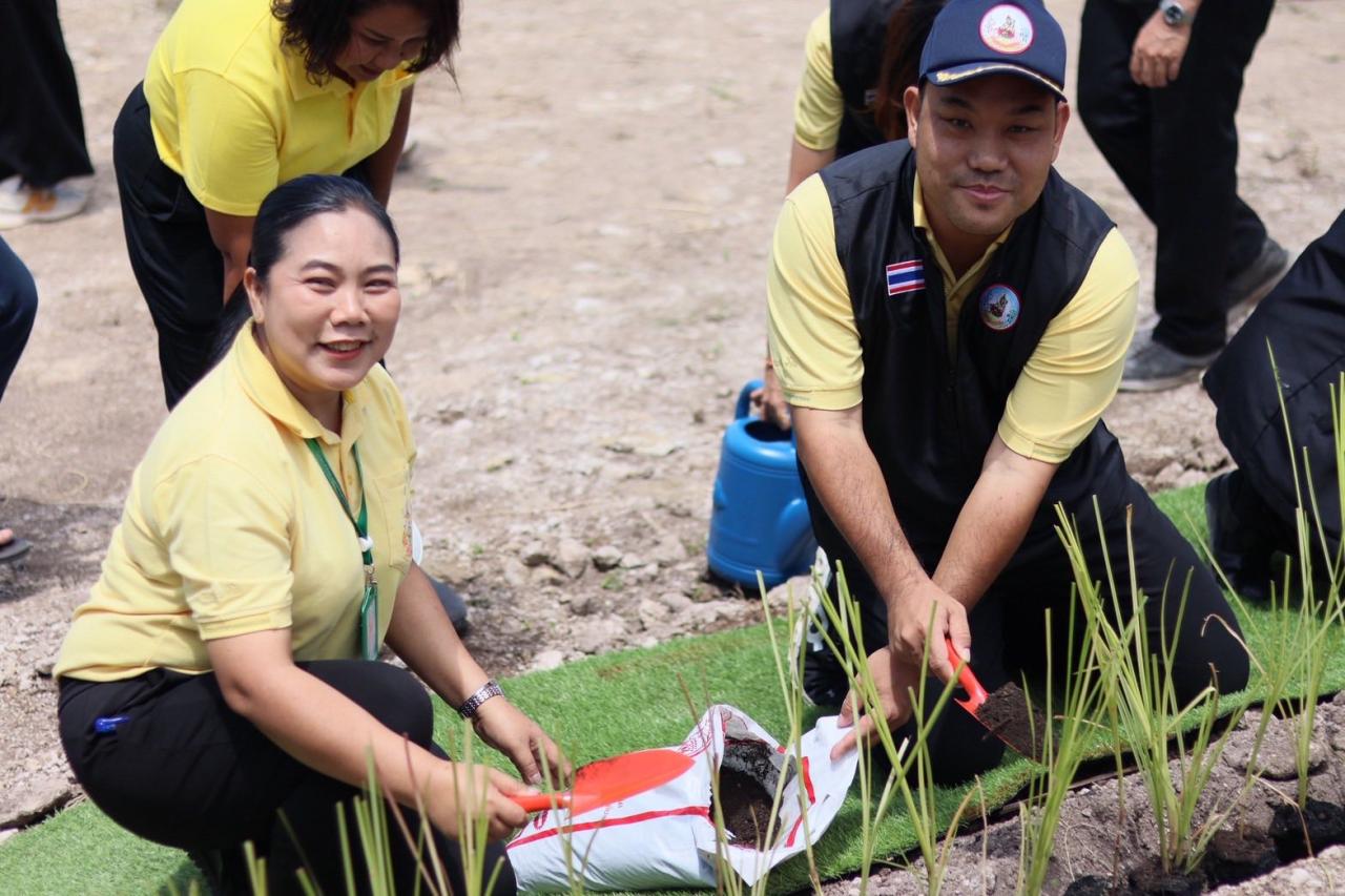 ภาพประกอบที่ 3