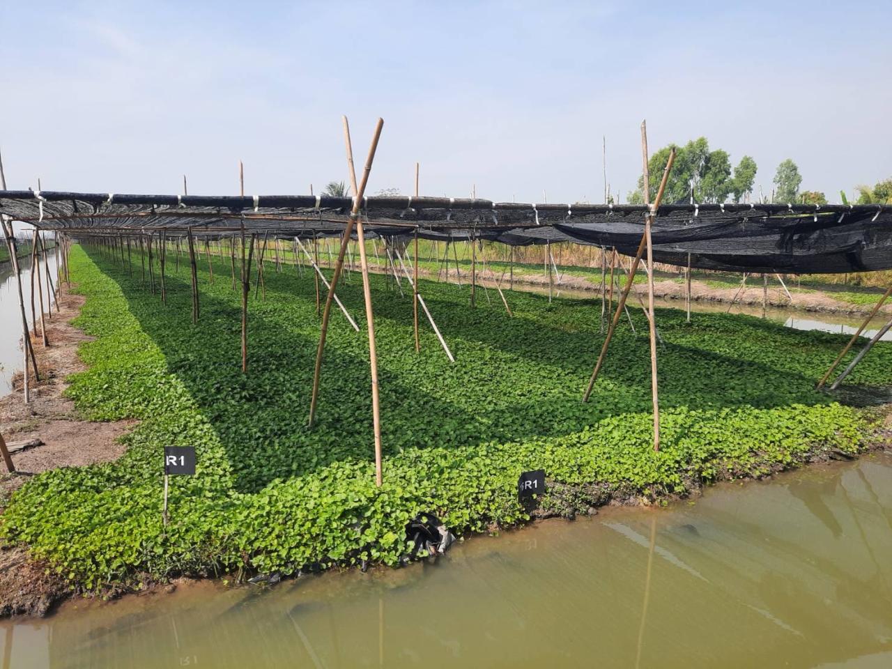 ภาพประกอบที่ 9