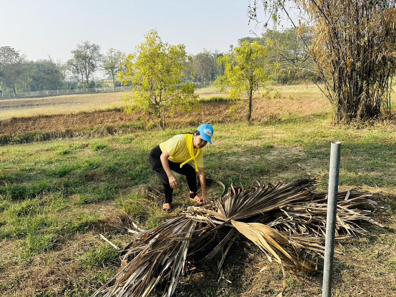 ภาพประกอบที่ 6