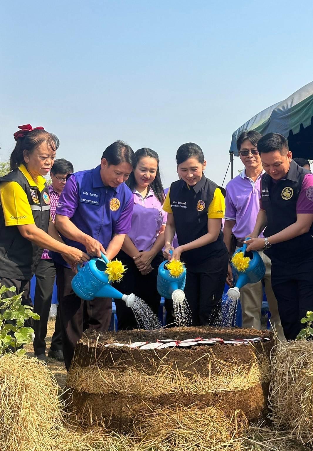 ภาพประกอบที่ 2