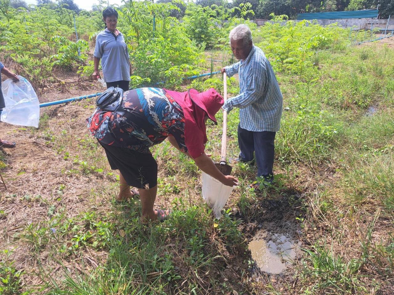 ภาพประกอบที่ 2