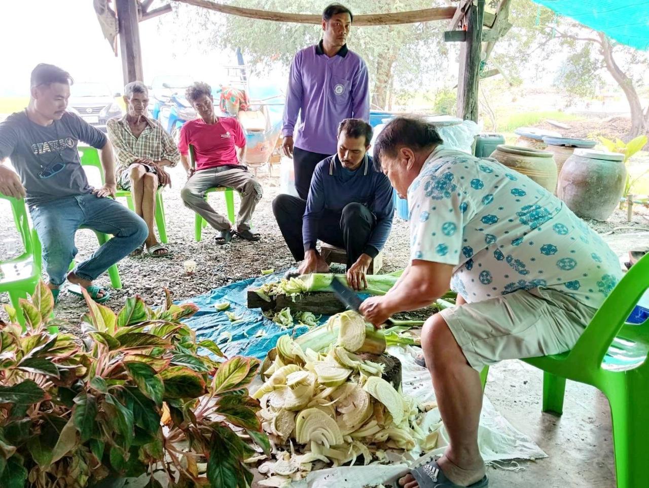 ภาพประกอบที่ 7