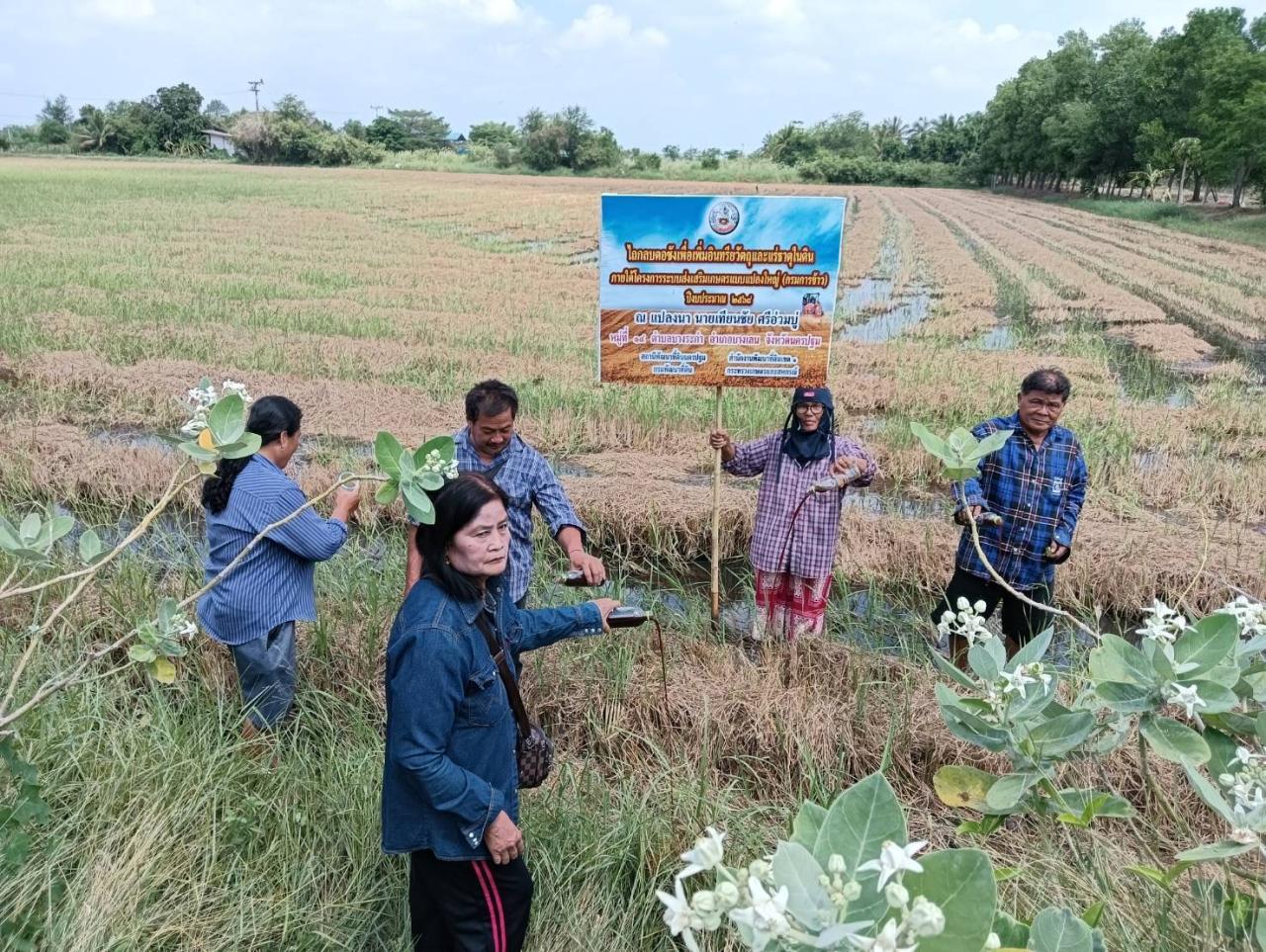 ภาพประกอบที่ 14