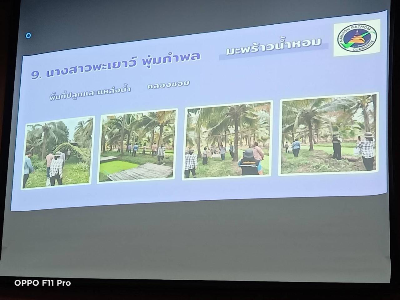 ภาพประกอบที่ 7