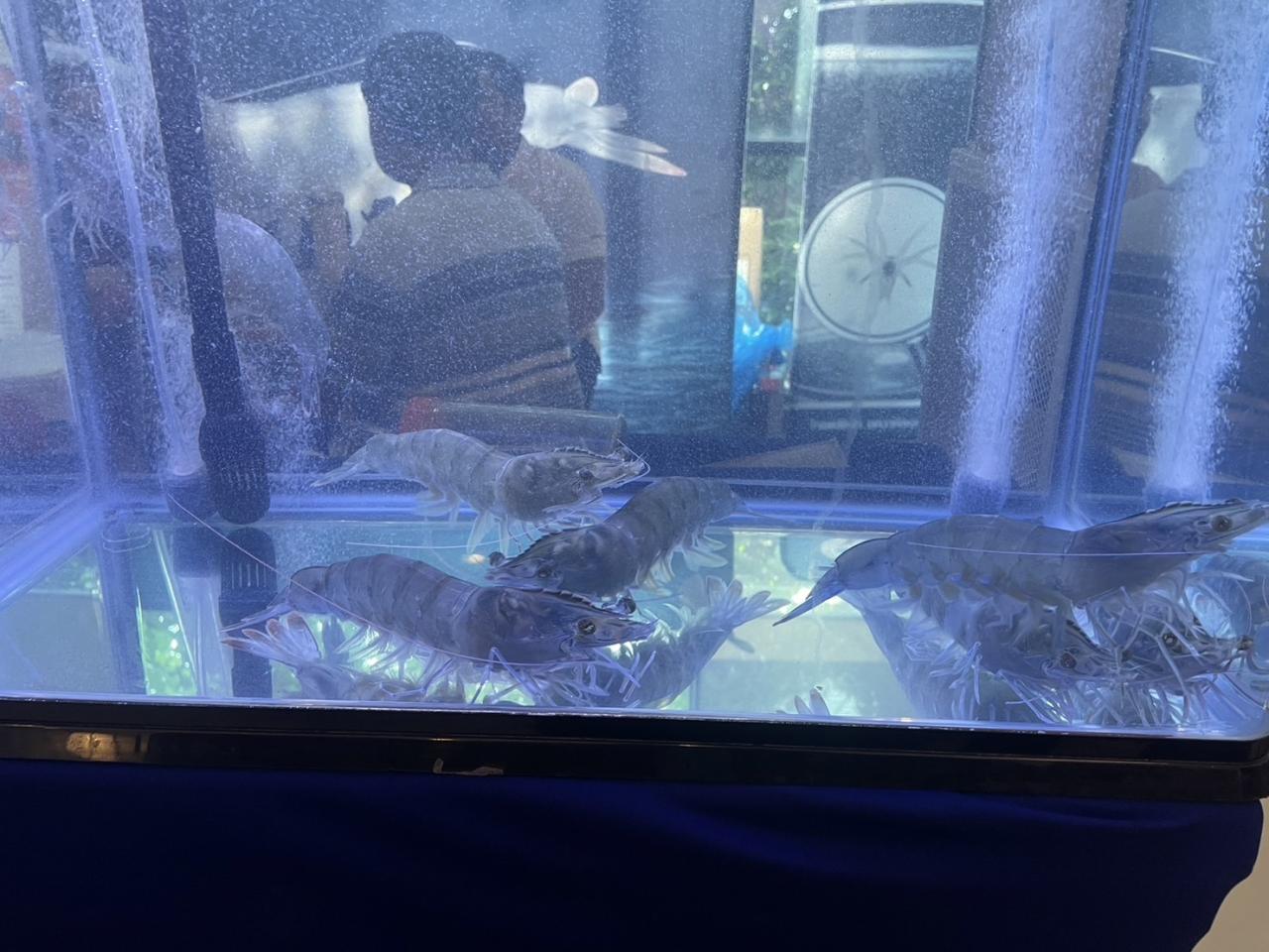 ภาพประกอบที่ 5