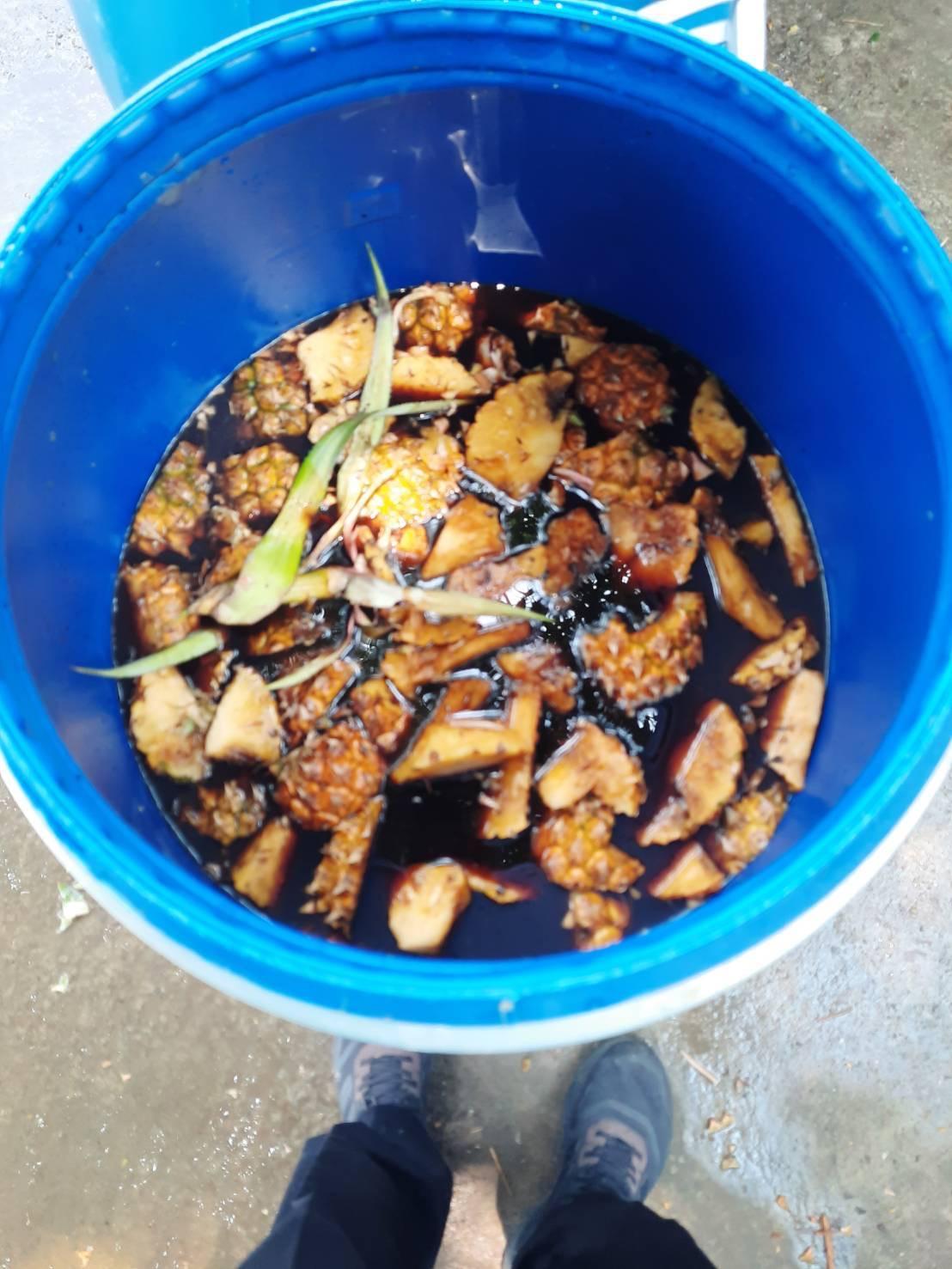 ภาพประกอบที่ 11