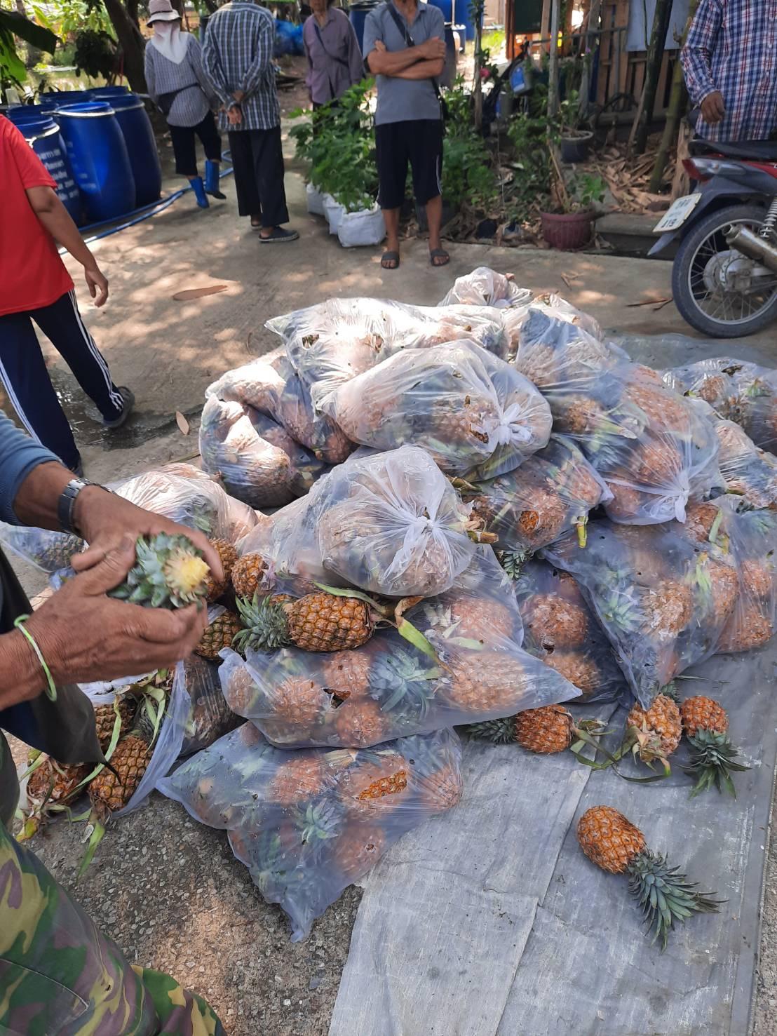 ภาพประกอบที่ 12