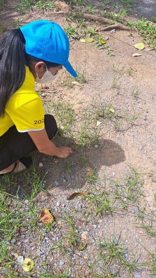 ภาพประกอบที่ 5