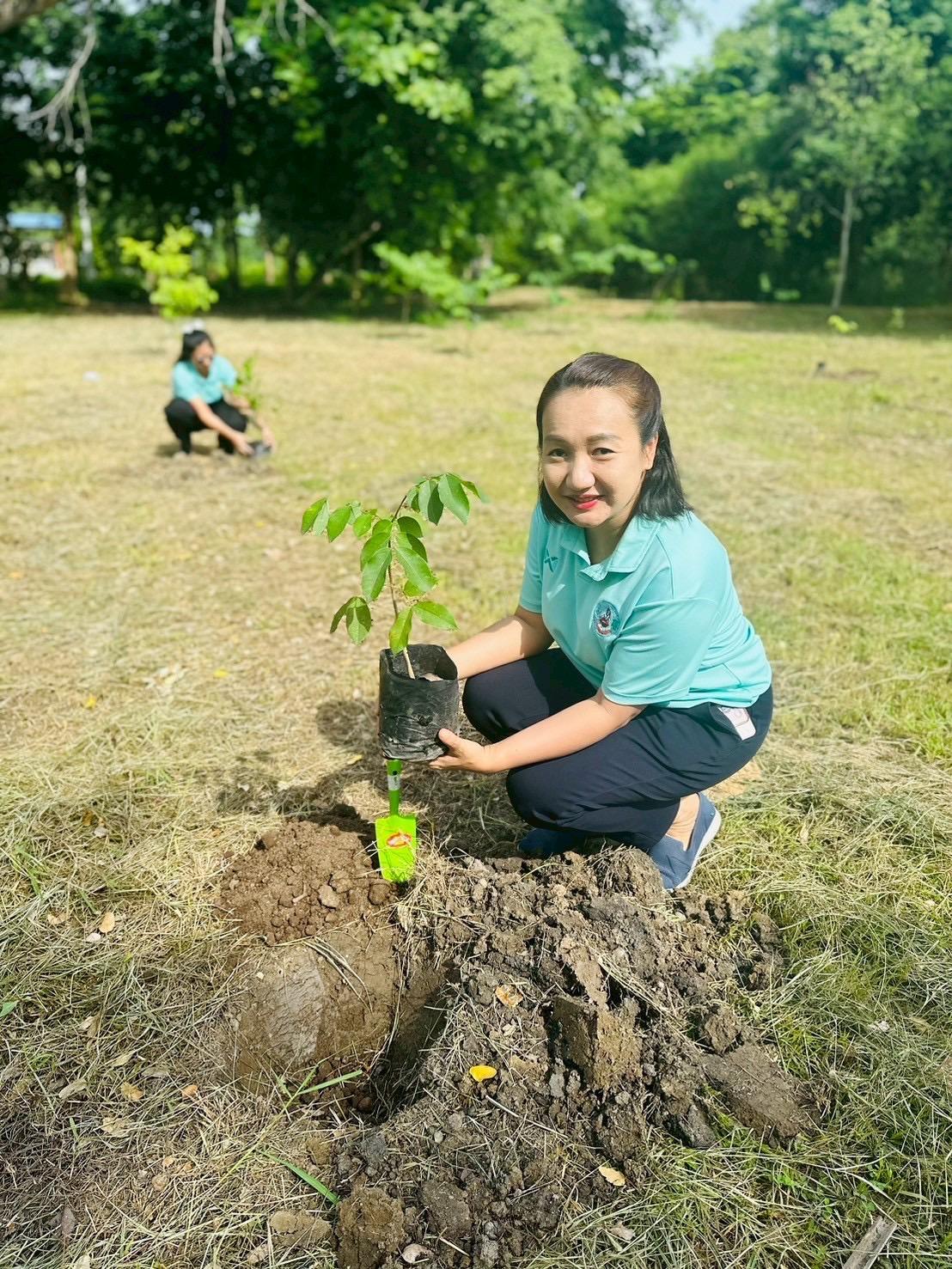 ภาพประกอบที่ 0