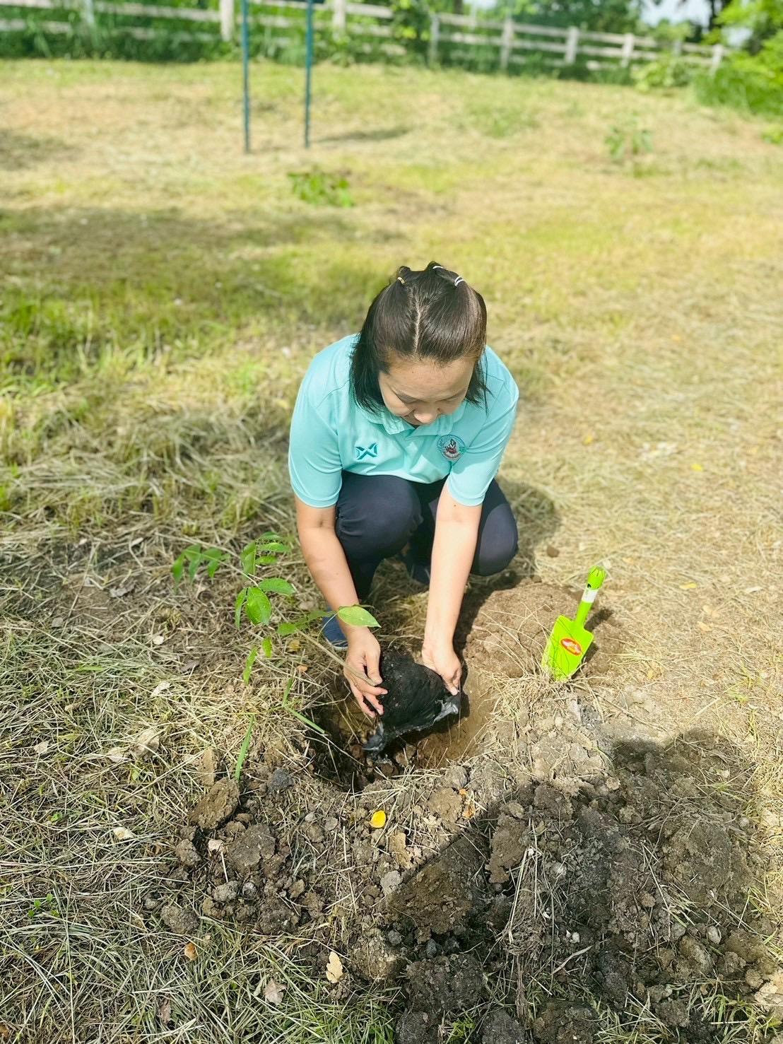 ภาพประกอบที่ 1