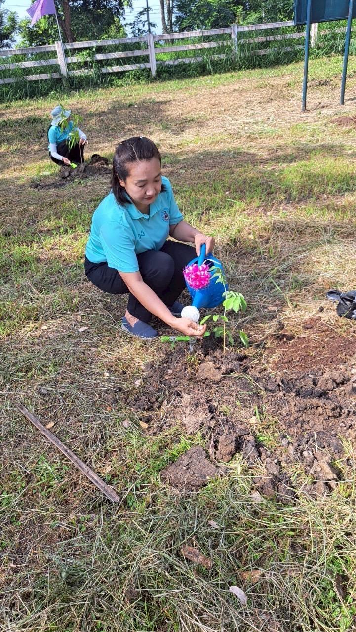 ภาพประกอบที่ 3