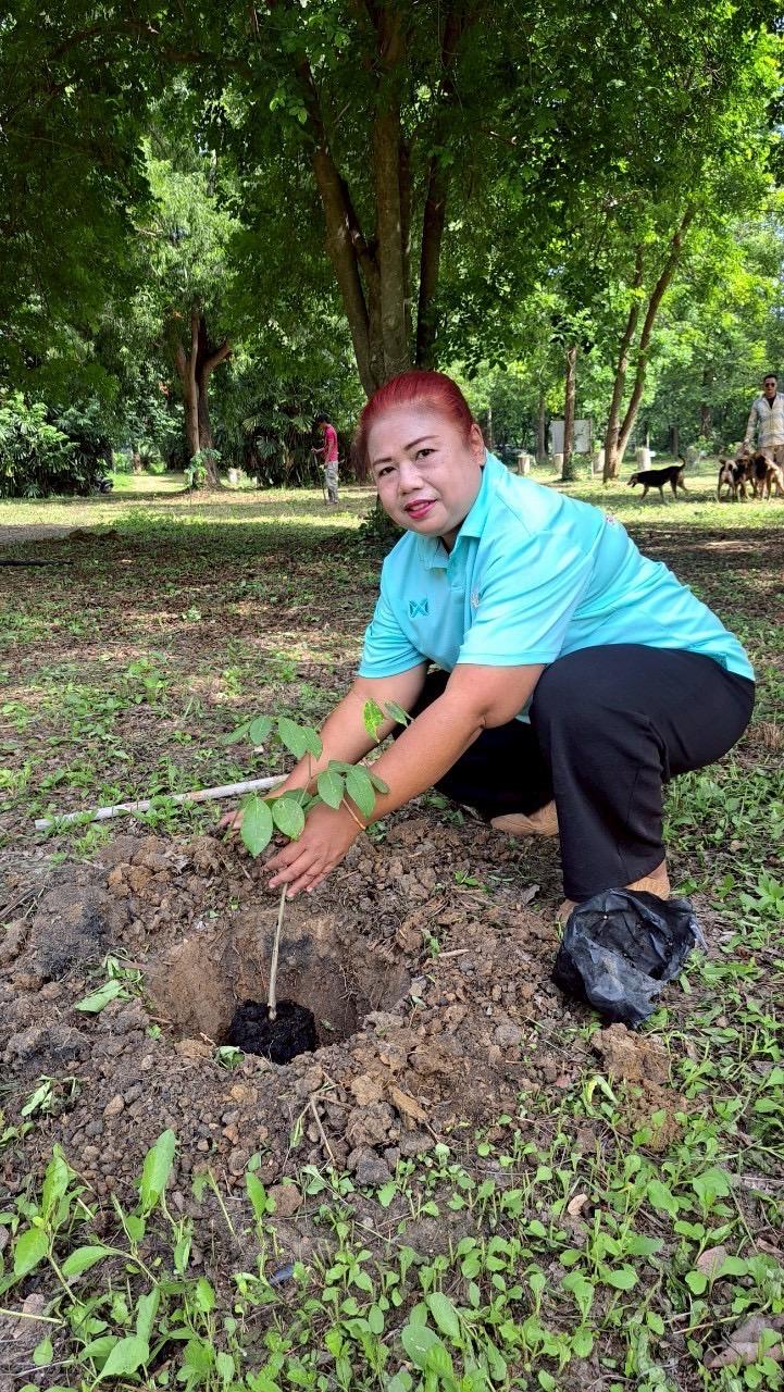 ภาพประกอบที่ 5