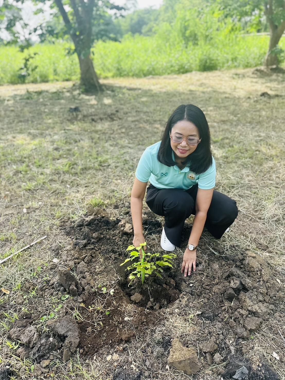 ภาพประกอบที่ 10