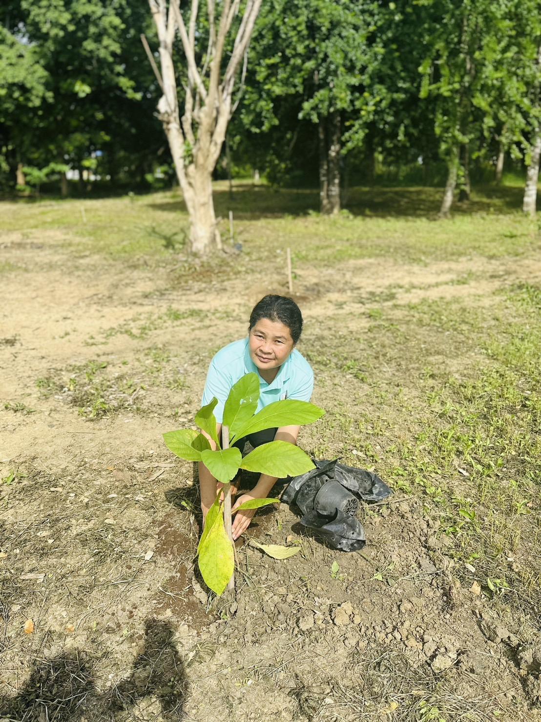 ภาพประกอบที่ 12