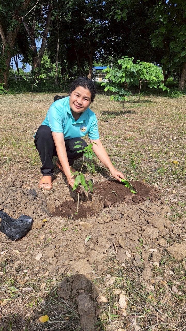 ภาพประกอบที่ 13