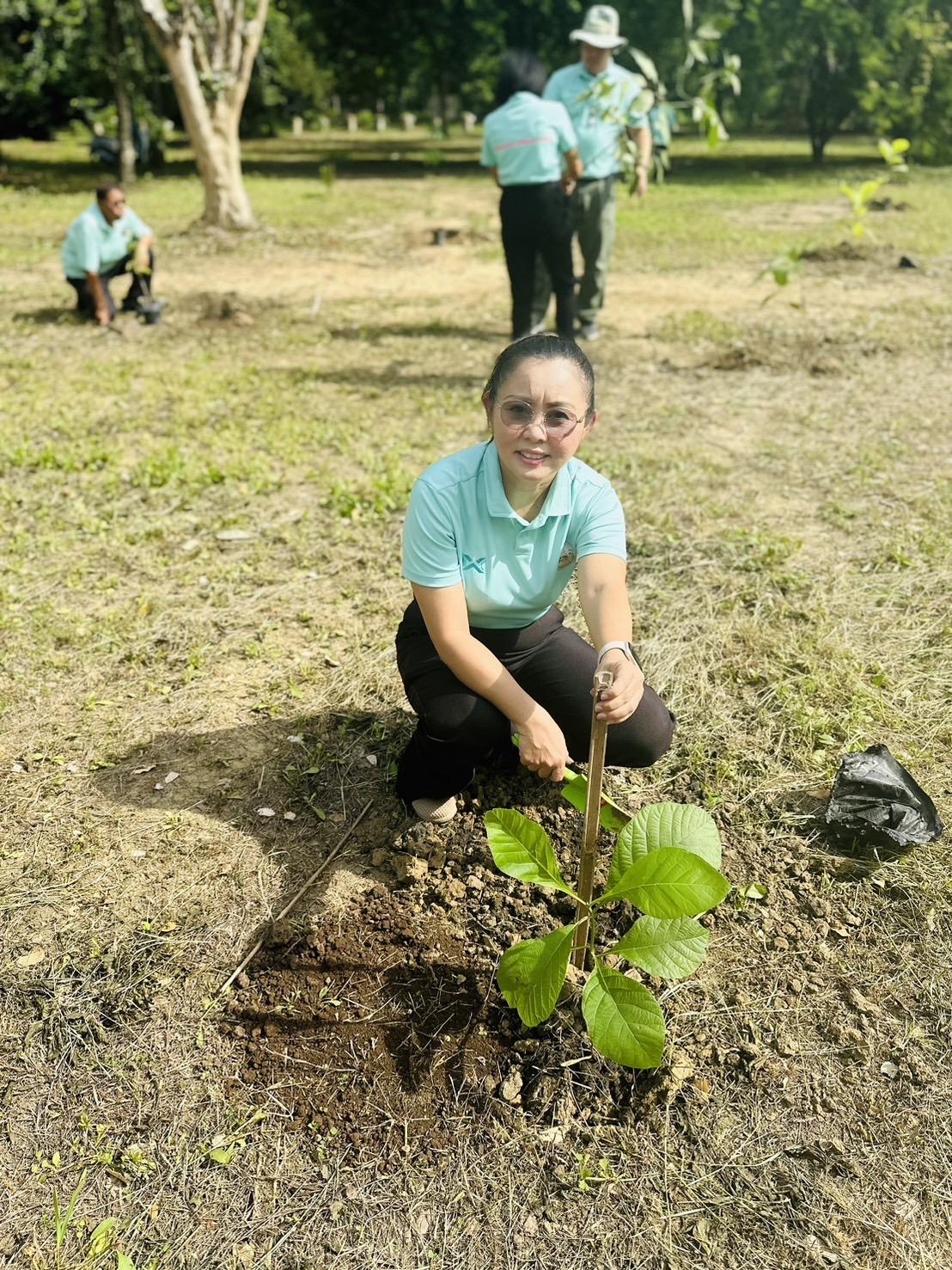 ภาพประกอบที่ 17