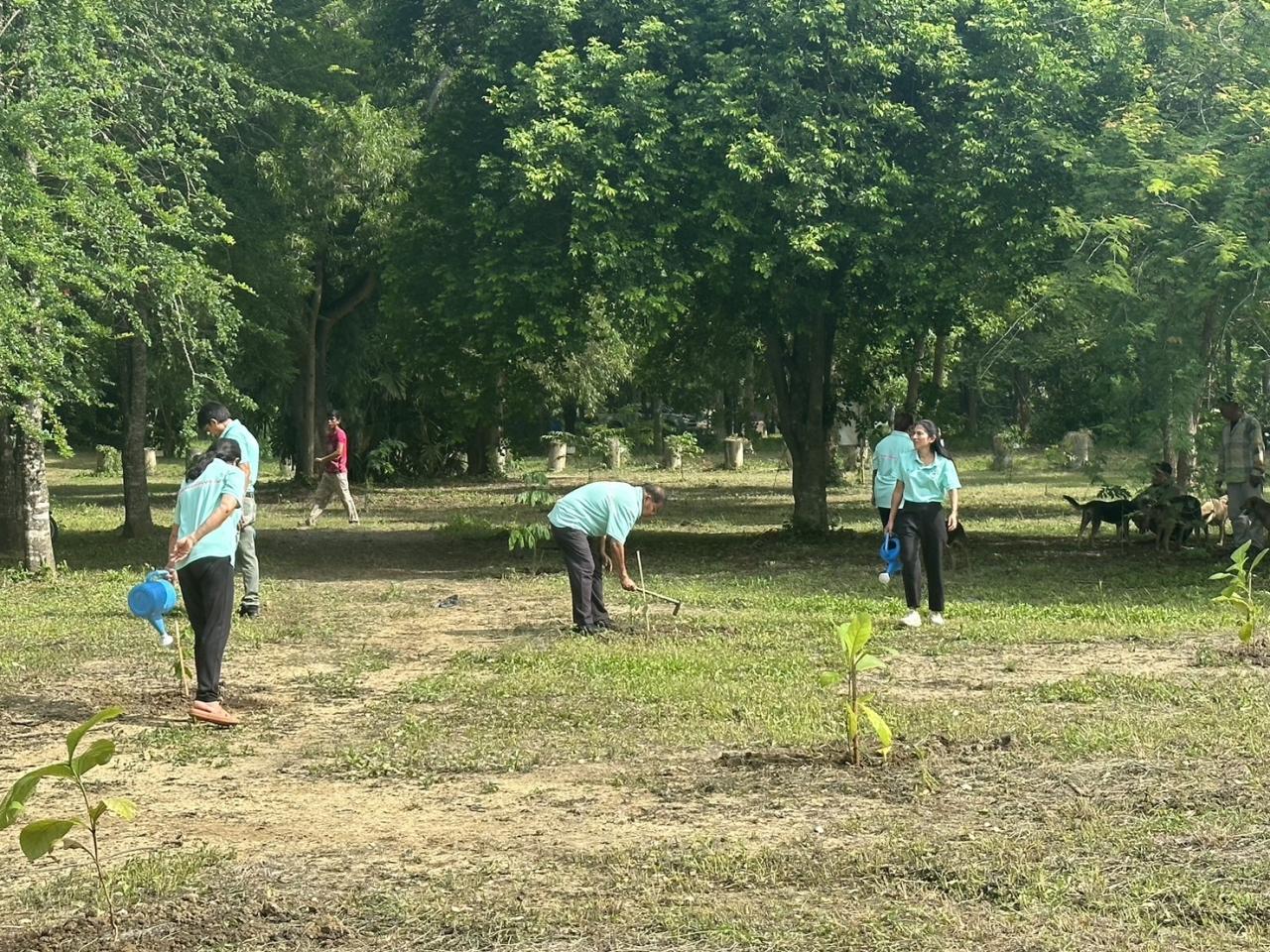 ภาพประกอบที่ 28