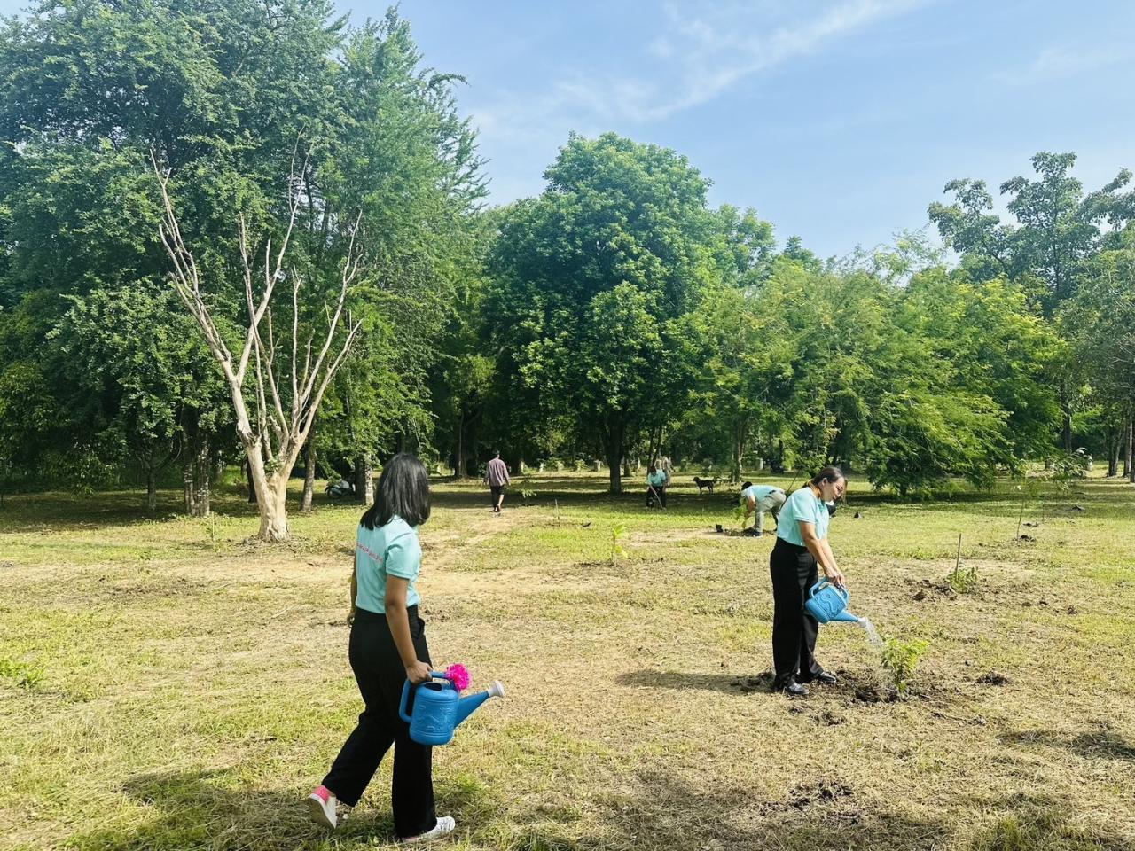 ภาพประกอบที่ 29