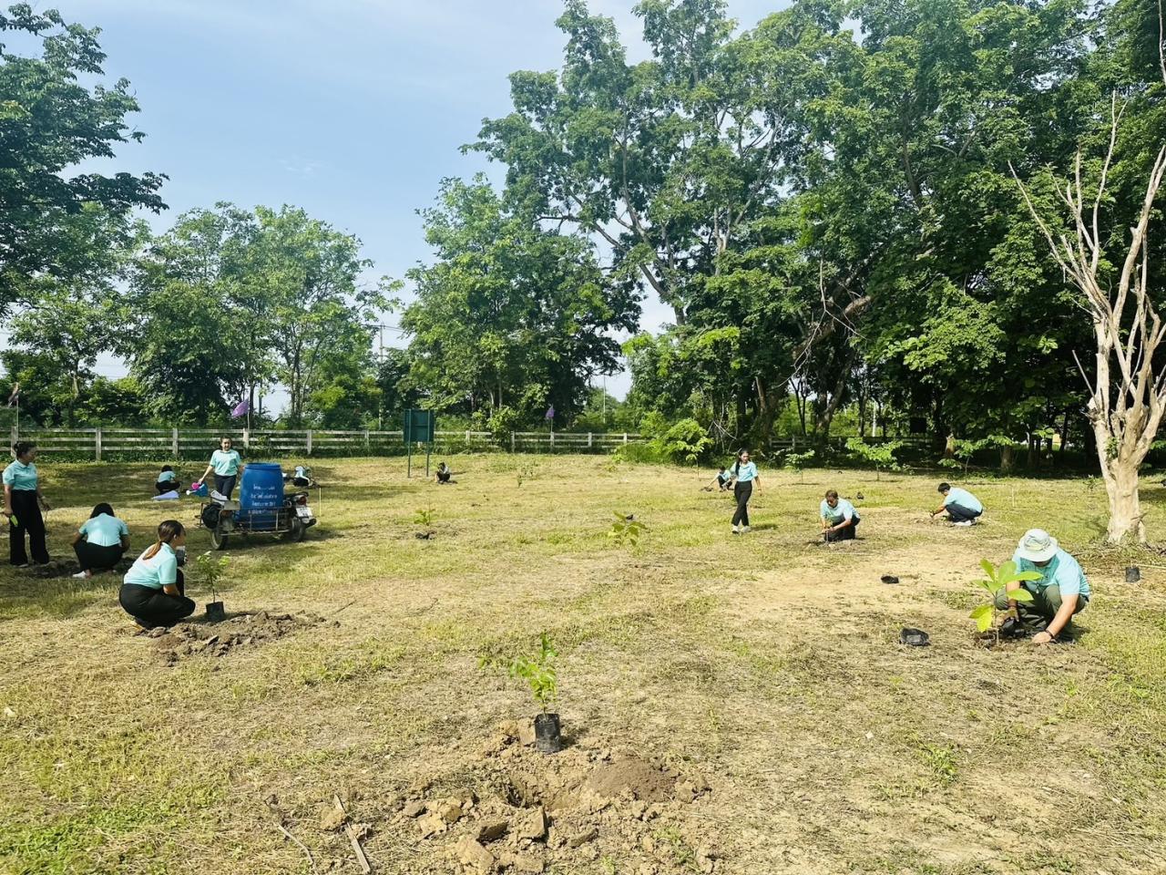 ภาพประกอบที่ 31