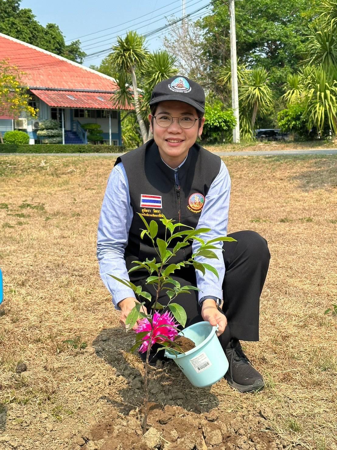 ภาพประกอบที่ 1