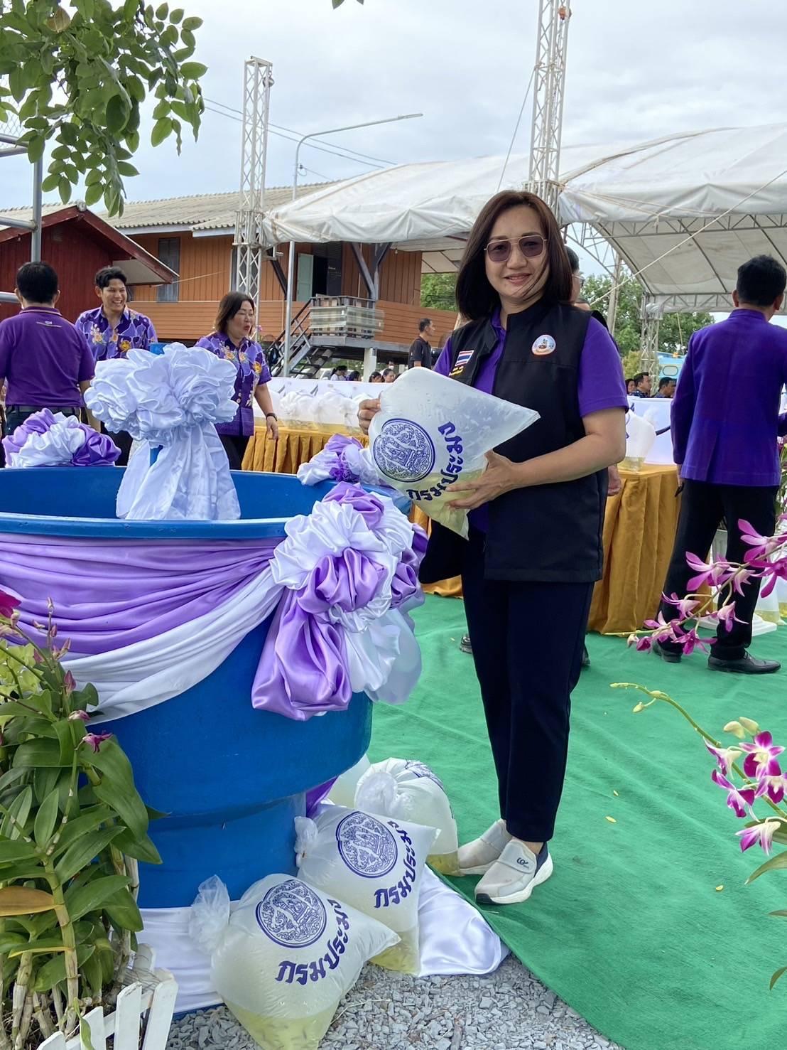 ภาพประกอบที่ 8